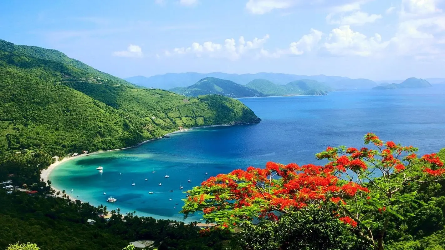 精密高效